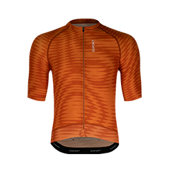 Maillot Pro Team Umbrella...